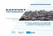 RAPPORT - Environnement et développement en Méditerranée · de compréhension de la situation et des enjeux dans la région. Des travaux complémentaires devront être envisagés