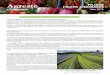 filiere fruit legume - Agriculturedaaf.reunion.agriculture.gouv.fr/IMG/pdf/2... · FRUITS & LEGUMES LA REUNION Juin 2019 ntan dffitst gumeéunon Fruits et légumes : une filière