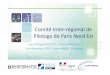 Comité Inter-régionalde Pilotage de Paris Nord Est · Evolution du programme CAP’TRONIC Mission : Compétitivité et Innovation des PME par l’électronique et le logiciel embarqué