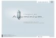 A uminium.€¦ · A titre d'exemple de l’ampleur de la politique d’innovation de SIEGENIA, cette brochure présente notre famille Aluminium, qui, outre les ferrures de fenêtres,