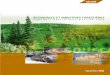 RÉSUMÉ - Ministère des Forêts, de la Faune et des Parcs · 2018-07-25 · en collaboration avec Claude Fortin, tech. adm. MINISTÈRE DES RESSOURCES NATURELLES Direction du développement