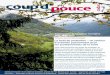 La forêt de protection – un secteur d’activités passionnant pour … · 2013-07-25 · ment un soutien marqué à la réalisation des cours du Groupe suisse de sylviculture