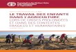 NOTE D’ORIENTATION DE LA FAO LE TRAVAIL DES ...Le travail des enfants dans l’agriculture lors de crises prolongées et dans des contextes fragiles et humanitaires - version pilote