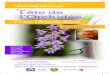 7ème Fête de l’Orchidée · 2016-05-13 · Fête de l’Orchidée 11 et 12 juin 2016 Urcel (Aisne) 7ème Vente & exposition dans l’église et celle d’Artistes régionaux AM