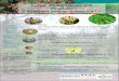 Lettre d’information n°5 Ecophyto « Comment jardiner autrement · 2013-10-03 · Lettre d’information Ecophyto Comment jardiner autrement n°5 P A G E 3 Les perce-oreilles ou