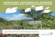 ASSOCIER LÉGUMES ET ARBRES FRUITIERS EN AGROFORESTERIE › wp-content › uploads › 2017 › 09 › guide... · 2017-09-07 · Enfin, l’introduction d’arbres dans les parcelles