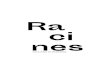Racimusee-saint-denis.com/wp-content/uploads/2019/01/Racines.pdf · 2019-01-09 · mosquée pour prier, tandis que d’autres par-taient aux champs. Racines Racines 16 17 Les femmes