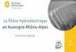 La filière hydroélectrique en Auvergne-Rhône-Alpes · La filière hydroélectrique en Auvergne-Rhône-Alpes –mars 2019 2 PRÉAMBULE Ce panorama, réalisé par le servie Intelligene