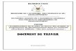 DOCUMENT DE TRAVAIL - finances.gov.bf · Bilan de l’exécution physique et financière _____11 III. Contribution des projets et programmes au développement _____13 IV. Principales
