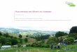 Plan paysage des Monts du Lyonnais › sites › default › ... · ysag y / 2 Syndica t y , énieure-paysagist tair t , , t, o-traitan 2015-2016 • Maîtrise d’ouvrage: Syndicat