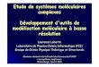 Etude de systèmes moléculaires complexes Développement d ... · [Leherte et al., in: “Quantum Theory of Atoms in Molecules - From Solid State to DNA and Drug Design”, Eds C
