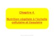 Chapitre 4 Nutrition végétale à l’échellecol21-henry-berger.ac-dijon.fr/IMG/pdf/chapitre_4-2.pdf · 2019-08-30 · Nutrition végétale à l’échelle cellulaire et tissulaire