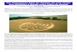 Les diagrammes de champ ou crop circles · principalement dans le sud de l'Angleterre. Cet article richement illustré vous invite à découvrir et contempler ces diagrammes tels
