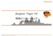 Angkor Tiger FC - Angkor Tiger FCمپ¯2017م‚·مƒ¼م‚؛مƒ³مپ‹م‚‰وœ¬و‹ هœ°م‚’م‚·م‚§مƒ مƒھم‚¢مƒƒمƒ—مپ«ç§»è»¢مپ—م€پ