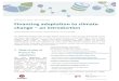 Adaptation Briefings Financing adaptation to climate ...€¦ · Adaptation Briefings Financing adaptation to climate change – an introduction Helen Burmeister, Annica Cochu, Tobias