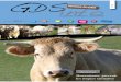 BAT GDSINFO LOIRE 2018 (2) - GDS Rhône-Alpes › assets › uploads › gds-loire... · Les GDS et la plupart des éleveurs en ont compris l’enjeu. Les pratiques du marché vont