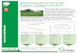 Bovins viande en Hauts-de-France : Conjoncture 2017 · LES CHIFFRES CLES ET LEURS EVOLUTIONS Après une année 2016 catastrophique au niveau des productions végétales (rendements