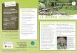 LE JARDIN, - Loire Océane Environnement · 2016-12-12 · le hérisson. peut parcourir jusqu’à 4 km par nuit pour se nourrir ; d’où l’importance de maintenir des passages
