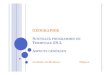 GEOGRAPHIE NOUVEAUXPROGRAMMESDE TERMINALE ES-L · Des cartes pour comprendre le monde : Mise en œuvre de 4 grilles de lecture du monde Géopolitique Géo-économique Géoculturelle