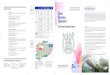 Вечерние курсы Seoul National Universitylanguage.snu.ac.kr/mobile/brochure/2020_RU.pdf · 2020-03-10 · Мы предлагаем курсы различной длительности