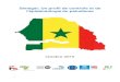 Sénégal: Un profil de contrôle et de l'épidémiologie du paludisme · 2018-11-08 · Financement de la lutte contre le paludisme ... Ministère de la Santé et de l’Action Sociale,
