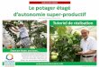 Université Francophone de l'Autonomie Alimentaire ... › wp-content › uploads › 2020 › 04 › ...2020/04/12  · Vers de terre si possible Plants de tomates et de haricots