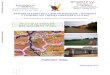 REHABILITATION DE LA ROUTE BABADJOU …documents.worldbank.org/curated/en/465611475643231312/...2016/04/10  · Photo 10 : Etroitesse de la route et présence d’Eucalyptus autour