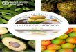 ANÁLISIS DEL MERCADO 2018 · 2 Las principales frutas tropicales análisis del mercado • 2018 que más se comercializan, sin contar el banano. A causa del rápido aumento de la