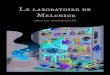 L'ARMOIRE DE MELCHIOR · 2020-05-04 · Melchior fait un peu de rangement dans son laboratoire. Pourrais-tu l’aider à remettre chacun de ses ingrédients et ustensiles à leur