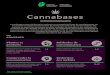Cannabases - Canadian Public Health Association · 2018-12-10 · pipe à main, bong, vaporisateur, joint et narguilé. INGESTION-L’ingestion de cannabis prend le plus souvent la