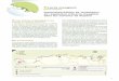 Acacia mangium - Centre de ressourcesespeces-exotiques- · PDF file Acacia mangium (Acacia mangium ) Expérimentations de techniques de régulation d' Acacia mangium dans les savanes