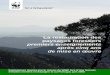 La restauration des paysages forestiersd2ouvy59p0dg6k.cloudfront.net/downloads/flrlessonslearnt... · 2012-01-03 · Introduction En l'an 2000, le WWF a collaboré avec l'Union mondiale