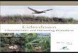 Characteristics and Harvesting Procedures Eiderdown · 2016-04-19 · Also available in French under the title: Le duvet d’eider : caractéristiques et procédures de récolte Acknowledgments