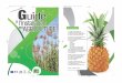 GI - DAAF de La Réuniondaaf.reunion.agriculture.gouv.fr/IMG/pdf/Guide... · agro-tourisme, accueil à la ferme ou transformation des produits qui impliquent d'être également formé