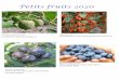 Petits fruits 2020 - pepinierejeangagne 2020 pdf/PETITSFRUITS2020-min.pdf · Petits fruits 2020 BLEUET PATRIOT GROS FRUITS SAVOUREUX.LE PLUS POPOULAIRE. BLEUET NORTHSKY Z3 HAUTEUR: