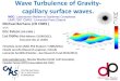 Wave Turbulence of Gravity- capillary surface waves. berhanu/NCTR3_ آ  Wave Turbulence Measurement