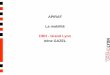 APIRAF La mobilité DRH - Grand Lyon Irène GAZELasso.univ-lyon2.fr › apiraf › IMG › pdf › Gazel.pdf · 2008-06-19 · directions en matière RH ... 9Une communication •