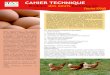 CAHIER TECHNIQUE - ITABitab.asso.fr/downloads/cahiers-elevage/cahier-pondeuses... · 2011-02-24 · CAHIER TECHNIQUE - Produire des œufs biologiques 3 VI La production d’œufs