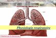 Physiologie respiratoireuniv.ency-education.com/uploads/1/3/1/0/13102001/... · Contraction des m. insp.(Diaphragme + Intercostaux ext.) Volume cage thoracique Volume pulmonaire pression