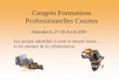 Congrès Formations Professionnelles Courtesdifuprotech.free.fr/Files/synthese_ateliers_Projets_et_attentes.pdf · • LP Environnement et Qualité en Agroalimentaire (Ngaoundere,