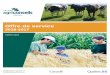 Offre de service - Accueil - Les réseaux Agriconseils · 2017-12-07 · Offre de service 2016-2017 6 Réseau Agriconseils Mauricie Interventions individuelles (Technique) Majoration