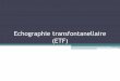 Echographie transfontanellaire (ETF) · 2019-01-14 · L'ETF est l’examen de choix chez le prématuré, et le nouveau né. Son apport, chez le nouveau-né à terme n’est plus