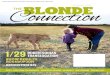 The Blonde Connection | Spring 2015 Issue | 1 2015.pdfFinalement, je tiens à remercier tous les éleveurs qui ont payé pour mettre des annonces dans cette revue. J’espère que