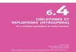 DE LA RÉSERVE BIOLOGIQUE DE PEDRA TALHADA©_et_al_2018_BioPedTalh_fr... · 196 FAUNE Deux espèces de chilopodes ont été réperto - riées dans la Réserve (voir inventaire VII),