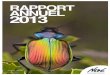 RAPPORT ANNUEL 2013 - Groupe de Travail "Bâtiment et ......d’escargots et de limaces les plus souvent rencontrés dans les jardins à l’échelle nationale, le Petit-gris, l’Es-cargot
