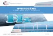 HYDROGÈNE · 2019-12-17 · 6 En qualité de membres du groupe d’études « Hydrogène » de l’Assemblée nationale, nous saluons la publication de ce rapport écrit par le groupe