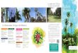 Adobe Photoshop PDF - Beaulieu sur Mer · la vie et au développement de Beaulieu sur-Mer, ... Balade botanique guidée le 'eudi å 91130 sur inscription Tarif 5€ Office Municipal