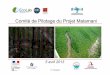 Comité de Pilotage du Projet Malamani - PS-Eau · Communautés microbiennes et cycle de l’azote en mangrove, en conditions naturelles et perturbées.Contribution à l’optimisation
