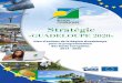 Stratégie Guadeloupe 2020 - European Commission...Le présent document expose la manière dont la Région Guadeloupe envisage de travailler en partenariat avec l’Union Européenne