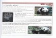 Le panda géant - Académie de Poitiersecoles.ac-poitiers.fr/vezieres/sites/vezieres/IMG/pdf/le_panda_geant.pdfLe panda gØant vit au Japon. r x Le panda gØant vit en famille. r x